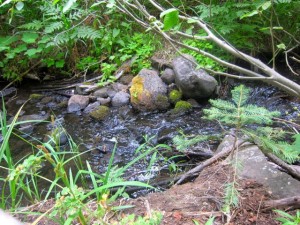 Dollar Creek Lake Tahoe Photo